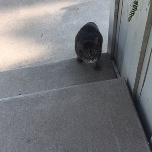 Meet your Posher, Lorna